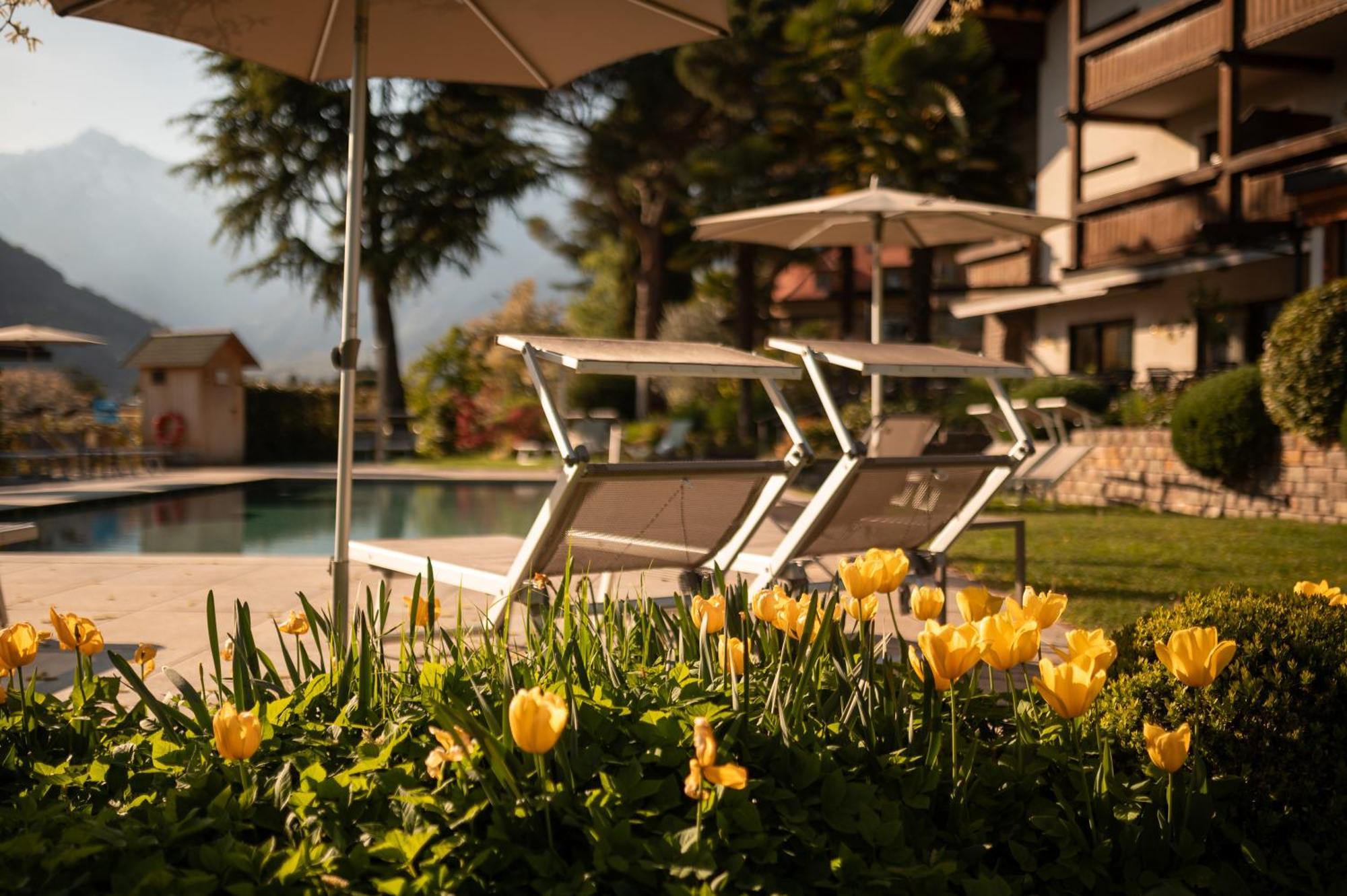 Salgart Hotel 3*